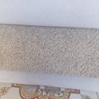 پالاز موکت|موکت|شوش, |دیوار