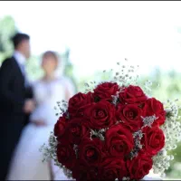 جشنواره طلایی۱۴۰۳.فیلمبرداری hanimoon