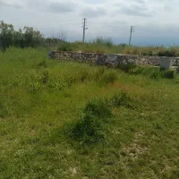 سلام زمین فروشی هست