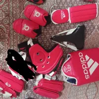 هوگو تکواندو