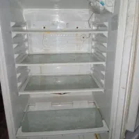 یهپال سالم|یخچال و فریزر|ایرانشهر, |دیوار