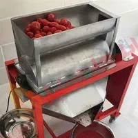 اب گیری گوجه