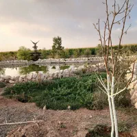 باغ پانصد و ۱۰۰۰ متری ۱ ساعته تهران|فروش دفتر صنعتی، کشاورزی، تجاری|زرندیه, |دیوار