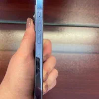 ایفون ۱۳ پرو|موبایل|شیراز, شیمی گیاه|دیوار