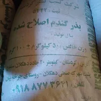 گندم بذر|خدمات باغبانی و درختکاری|سنندج, |دیوار