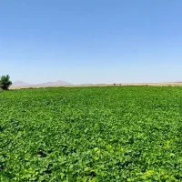 اجاره چاه دربست، فریدن|اجارهٔ دفتر صنعتی، کشاورزی، تجاری|بوئین و میاندشت, |دیوار