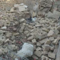 خرگوش|موش و خرگوش|سبزوار, صالح آباد|دیوار