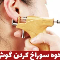 گوشواره میخی ۲۰۰ت|بدلیجات|اصفهان, پوریای ولی|دیوار