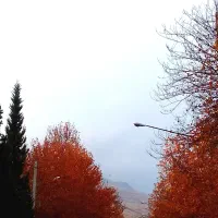 زمین باغ شهری بین چهارمور و آبگرم