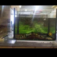 اکواریوم شیشه 3 میل با فیلتر و دماسنج