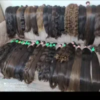 موهای خام رنگی بانوان جیرفت