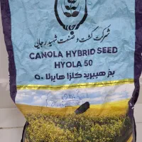 بذر کلزا