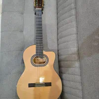 گیتار پیکاپ دار