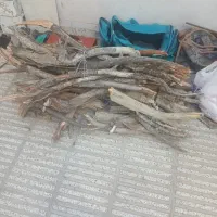 نیاز مند نیروی خانم جهت نظافت منزل و آشپزی