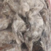 پشم گوسفند کیلویی دویست تومن