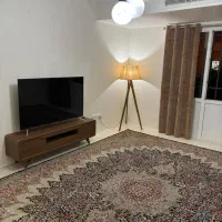 تلویزیون ۵۵اینچ ناسیونال نو|تلویزیون و پروژکتور|پرند, فاز ۶|دیوار