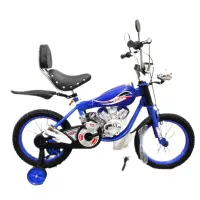 دوچرخـه اسپرت خاص