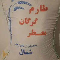 پخش عمده برنج ایرانی به شرط پخت