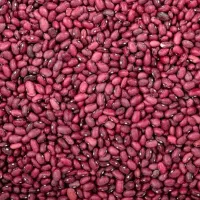 لوبیا قرمز خارجی عمده