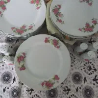 گل سرخ وغیره|ظروف سرو و پذیرایی|خرمدره, |دیوار