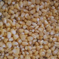 ذرت|خوردنی و آشامیدنی|فردوسیه, |دیوار