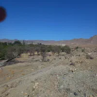 دو-عدد-باغ-در-نراق