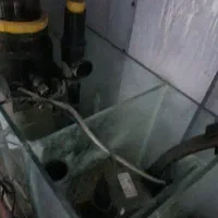 آکواریوم شور با شیشه مخصوص با وسایل خارجی|ماهی|تبریز, |دیوار