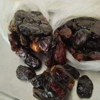 خرمای کبکاب خشت