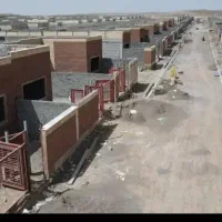 فیش زمین جوانی جمعیت