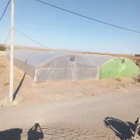 گلخانه با همه امکانات