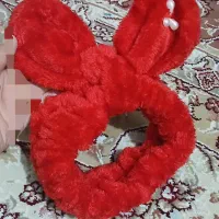 گوشگیر درحد نونو