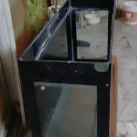 آکواریوم شیشه ((10میل))|ماهی|قم, باغ کرباسی|دیوار