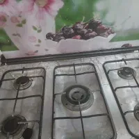 گاز|اجاق گاز و لوازم برقی پخت‌وپز|فشاپویه, |دیوار