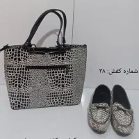 کیف و کفش|کیف، کفش، کمربند|آمل, |دیوار