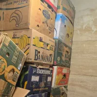 کارتن موزی کارکرده