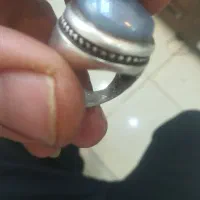 انگشتر شجر قاینات|جواهرات|سلماس, |دیوار