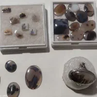 شجر|جواهرات|قزوین, |دیوار