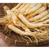 انواع مکمل تقویتی  آقایان