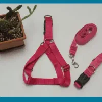 قلاده گربه و سگ|لوازم جانبی حیوانات|تهران, سبلان (لشگر)|دیوار