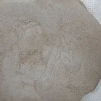 انواع مکمل و افزودنی های خوراک دام و طیور