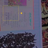 بذر گل کوکب الوان ساقه بلند