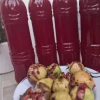 اب انار ترش جنگلی