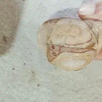 سنگ|جواهرات|شیراز, دروازه اصفهان|دیوار