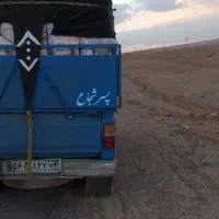 باربری امیر