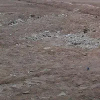 360مترزمین دوبهر