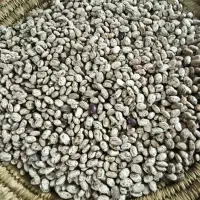 لوبیا چیتی عمده