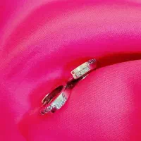 بیخ گوشی/گل گوش نقره|جواهرات|رباط‌کریم, رباط‌کریم|دیوار