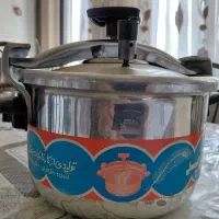 دیگ زودپز  شماره 6 لاله زرین