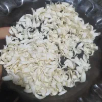 بهار نارنج ‌‌‌‌