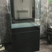 آکواریوم ریملس